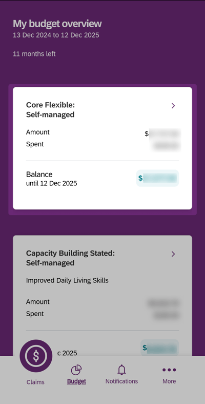 ndis_app_02
